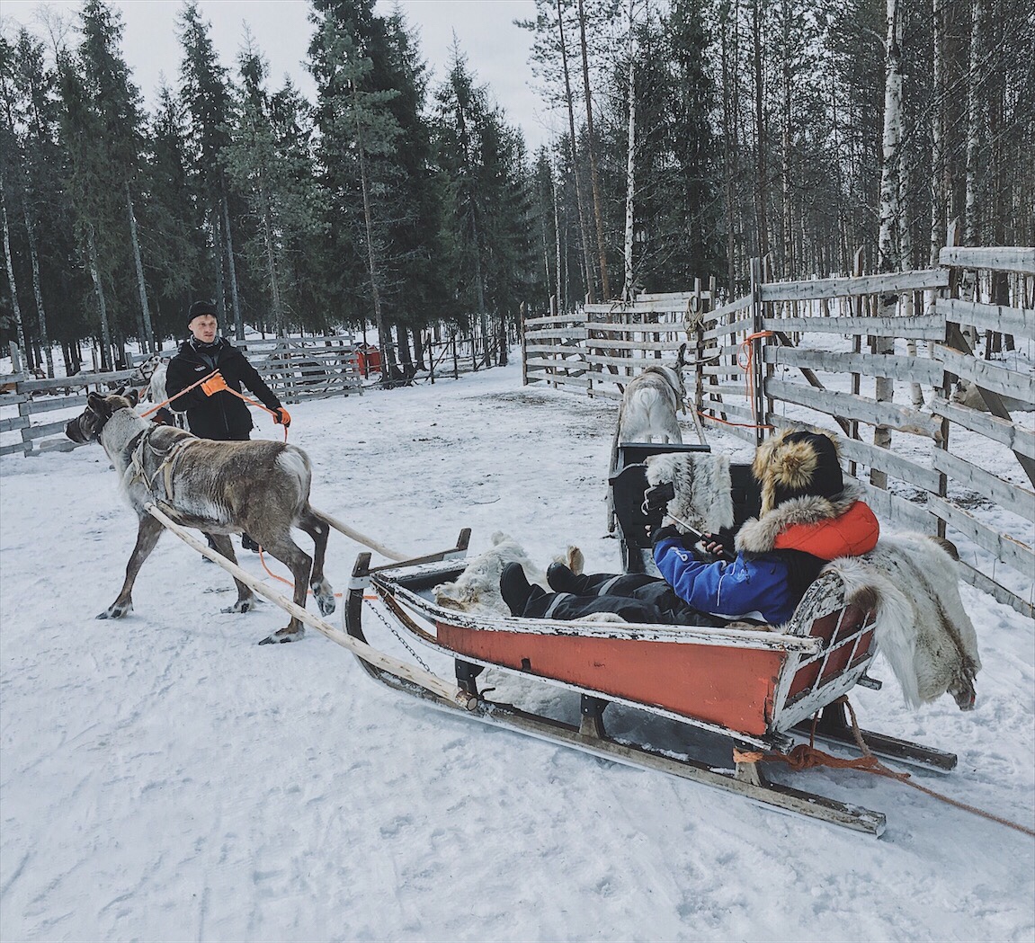 Bianca Valerio Reindeer Farm Lapland Rovaniemi Finland