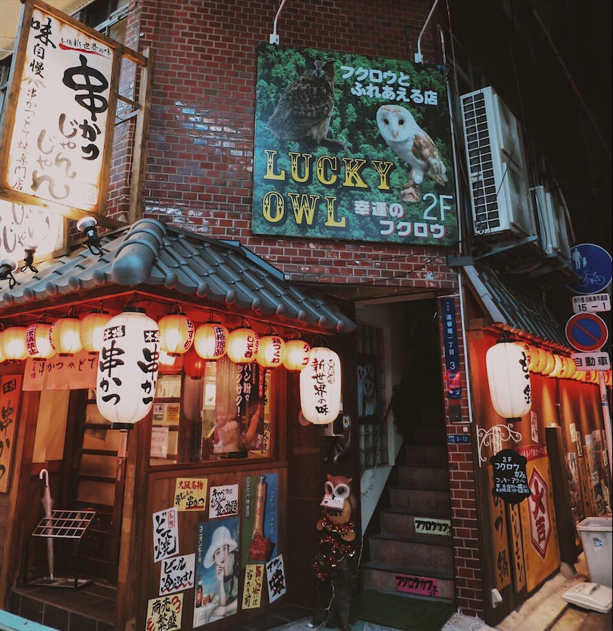 Owl Cafe Dōtonbori Osaka Travel Guide 