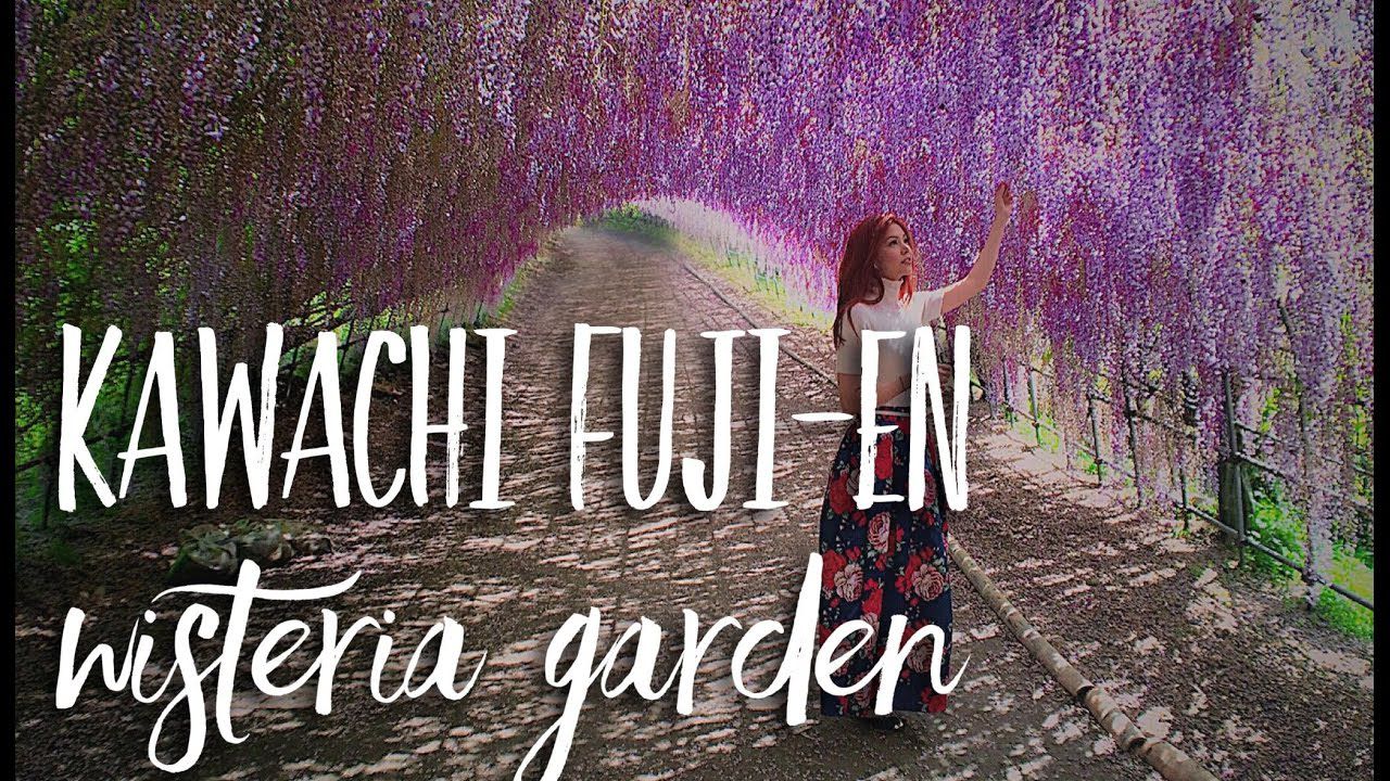 Kawachi Fuji-en Japan
